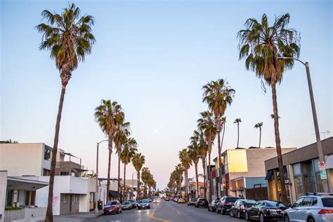 abbot kinney venice beach.